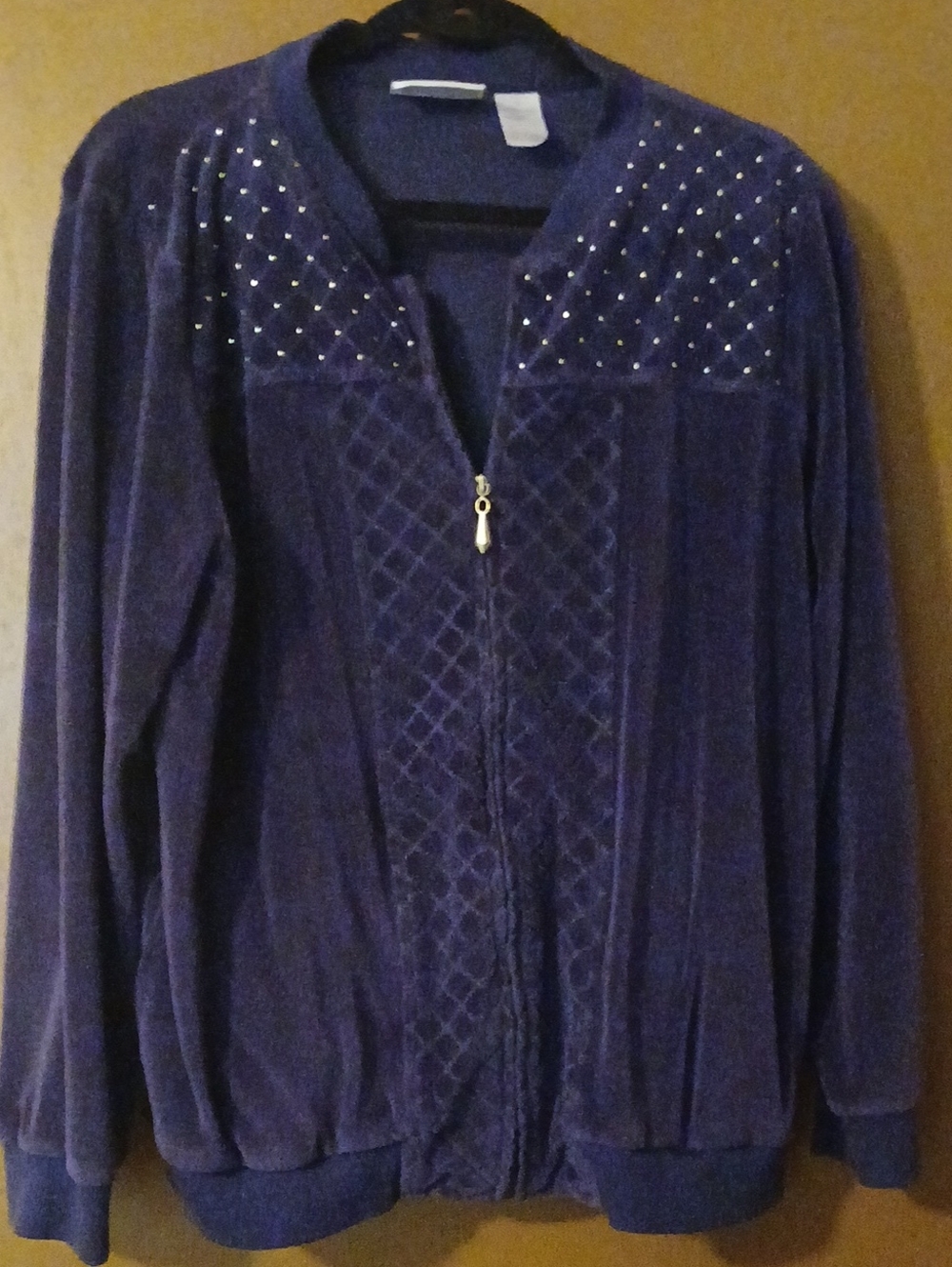 Alfred Dunner Purple Velour Zip-Front Jacket with Stud Detail